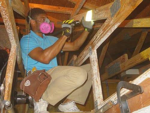 Four point inspection Florida